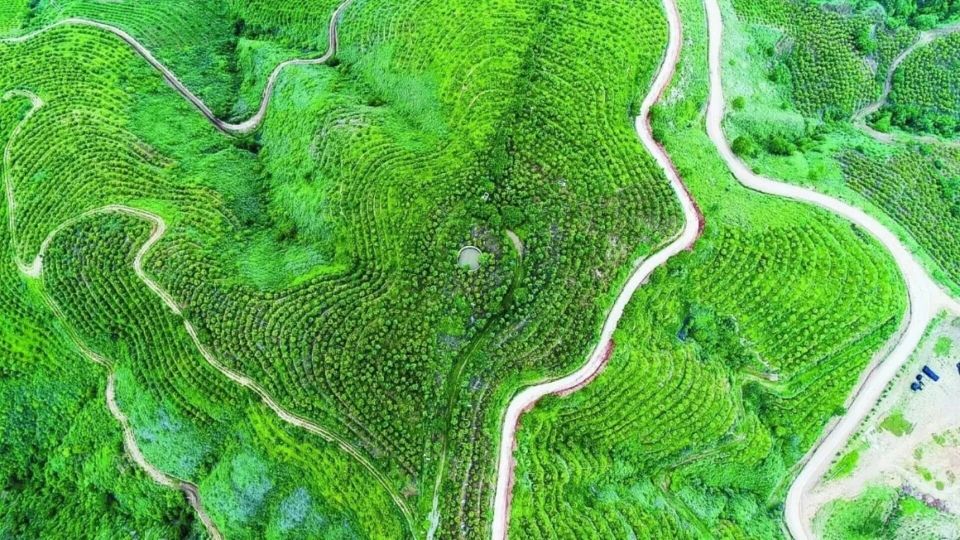 稻浪翻涌间 绿水青山入画来 ——红河县生态文明建设绘就和谐共生新画卷