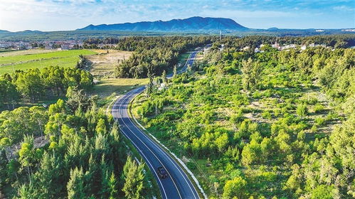 环岛旅游公路昌江段 穿行湿地中 尽览生态美