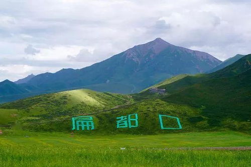 绿洲重生 扁都口生态休闲旅游区的荒漠化修复与旅游开发之路
