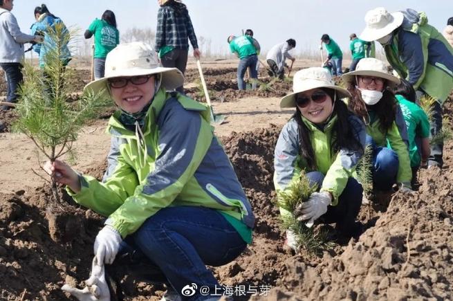 每年持续在内蒙和宁夏荒漠化地区植树造林修复生态